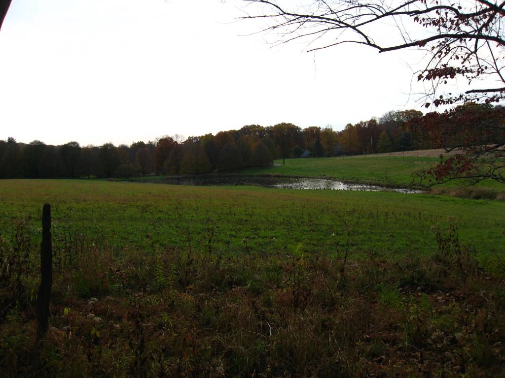 Picture of property