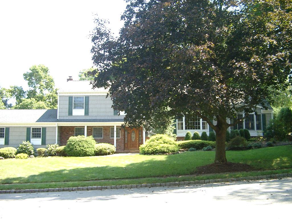 Picture of property