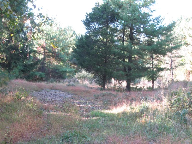 Tewksbury Real Estate Tewksbury Real Estate