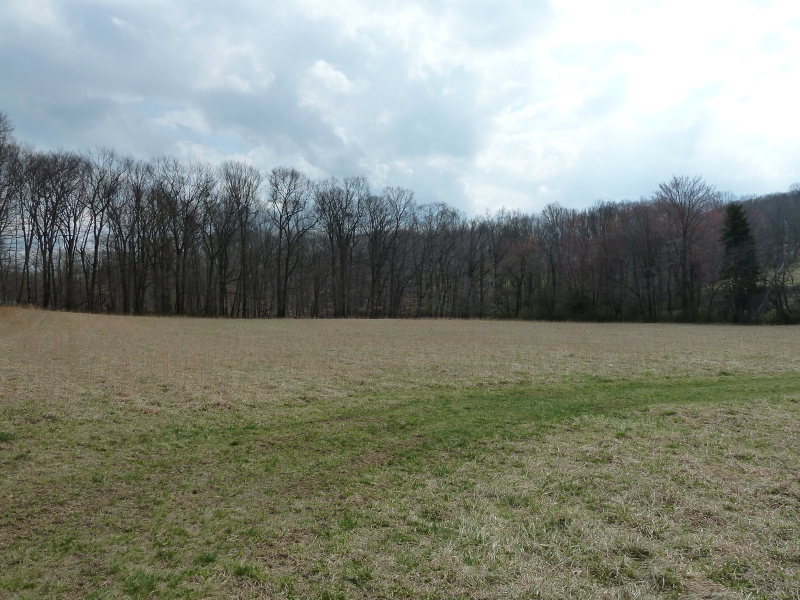 Bernardsville Real Estate Bernardsville Real Estate