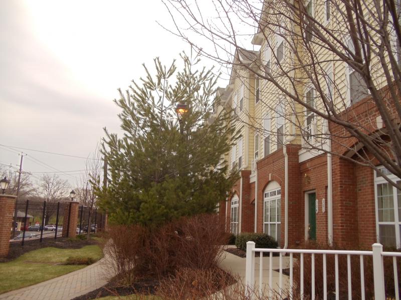 Belleville Co-op Condo Townhouse