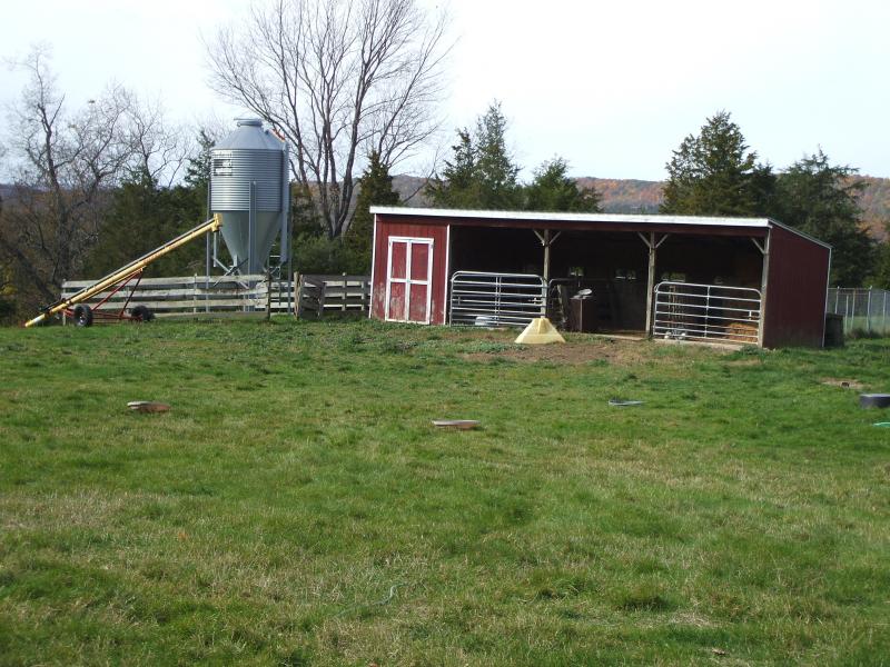 Listing Photo