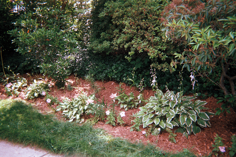 GARDENRESMF2870916
