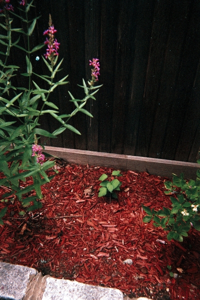 GARDENRESMF2870916