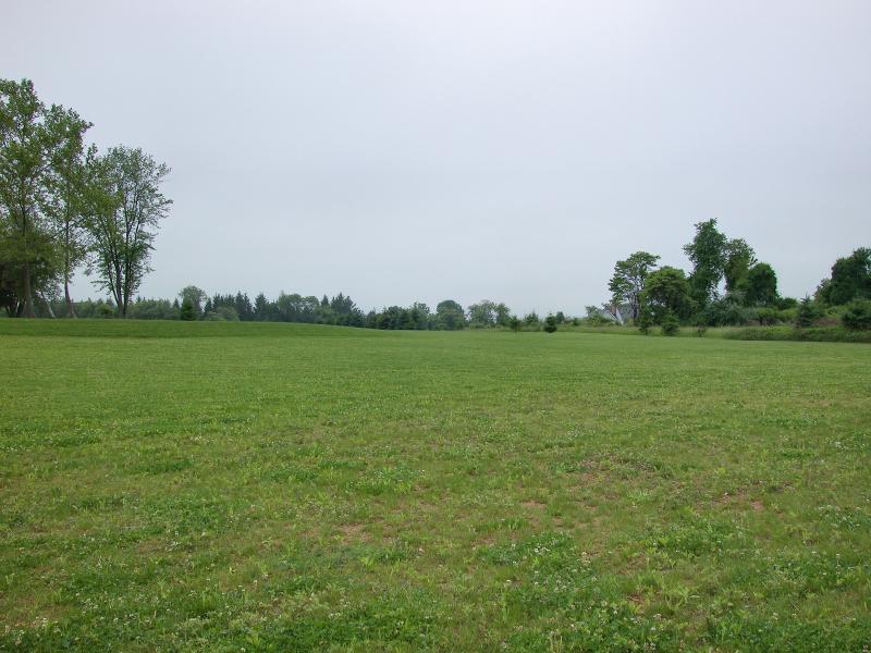 Viewing Image 9