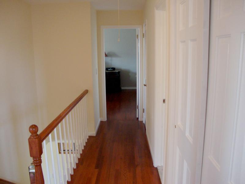 Viewing Image 15