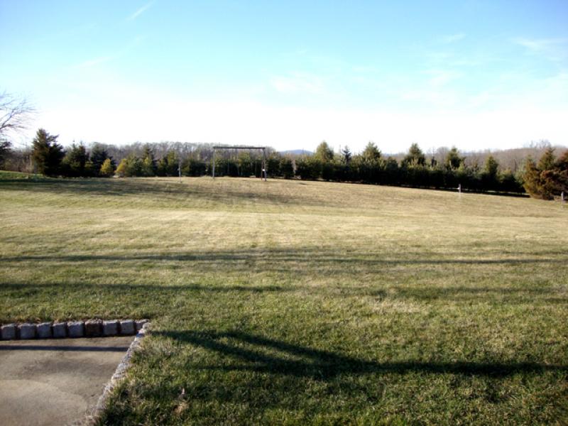Viewing Image 19