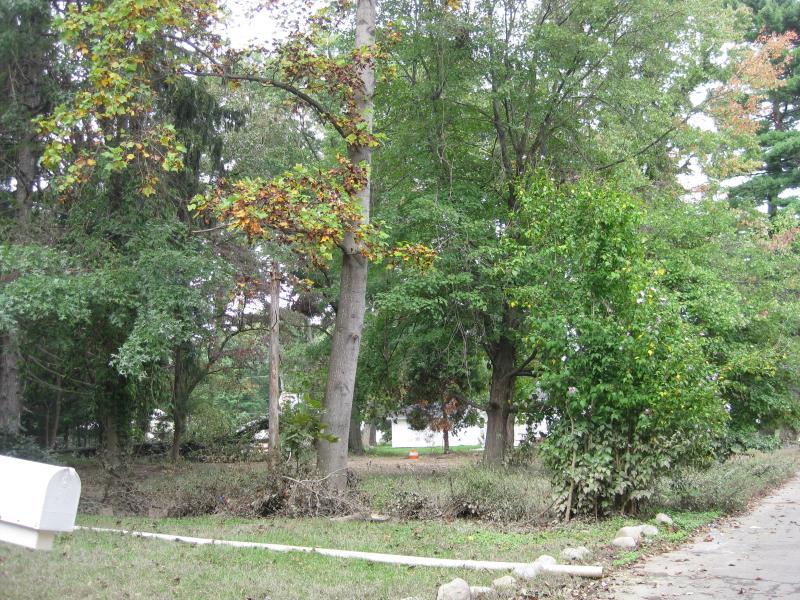 Land for Sale, ListingId:17537311, location: Lincoln Park 07035