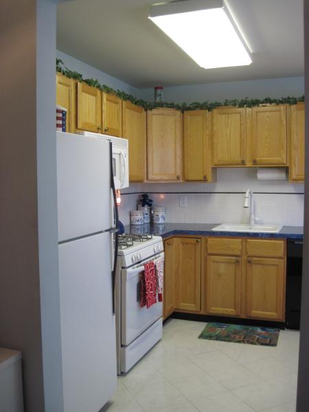 Viewing Image 2