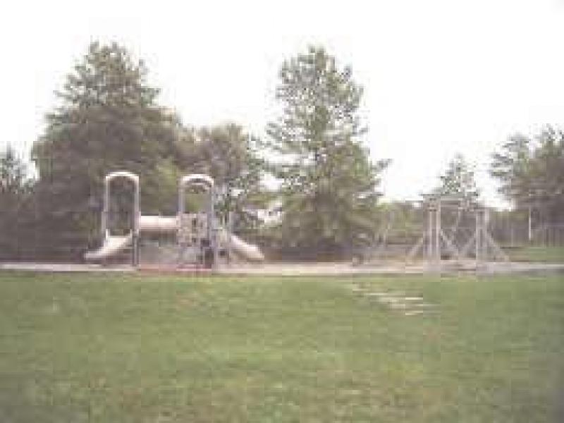 Viewing Image 4