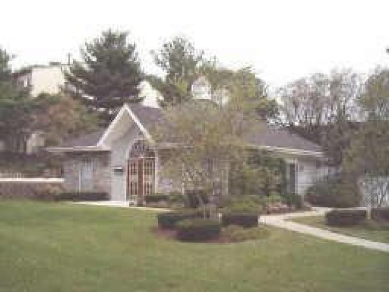 Viewing Image 5