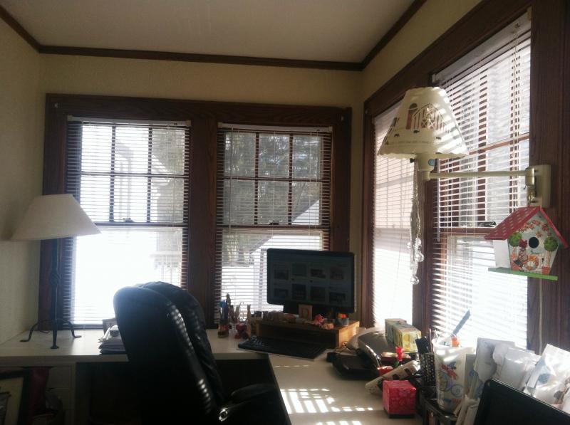 Viewing Image 16