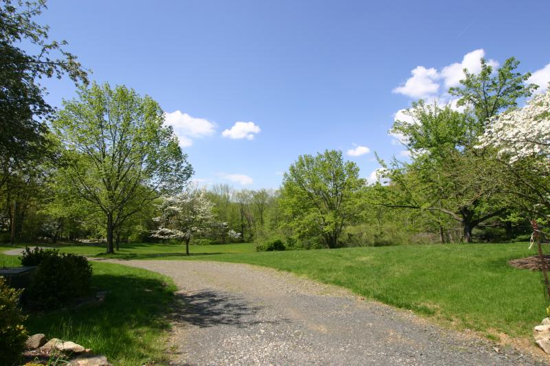 Viewing Image 21
