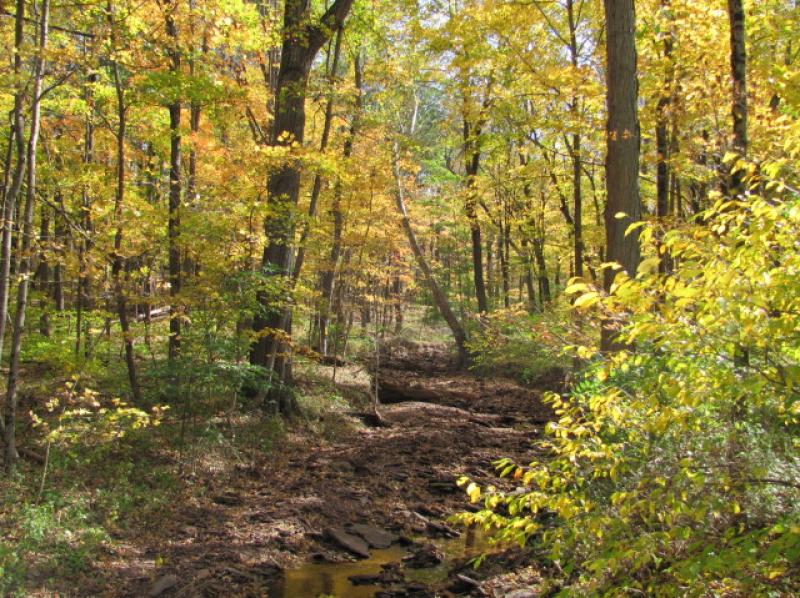 Land for Sale, ListingId:17606417, location: 0 CREEK RD Frenchtown 08825