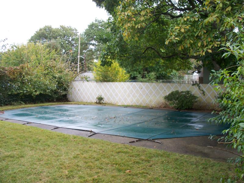 Viewing Image 11