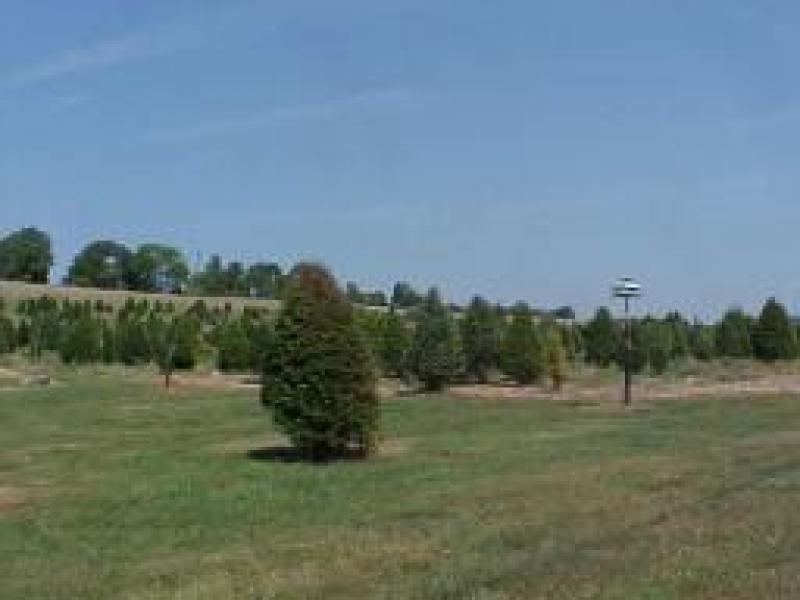Land for Sale, ListingId:15444954, location: Washington 07882