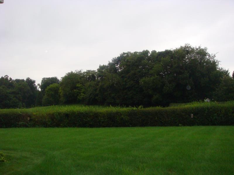 Viewing Image 24