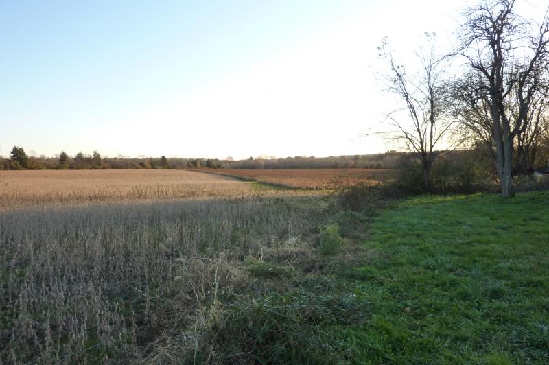 Viewing Image 4