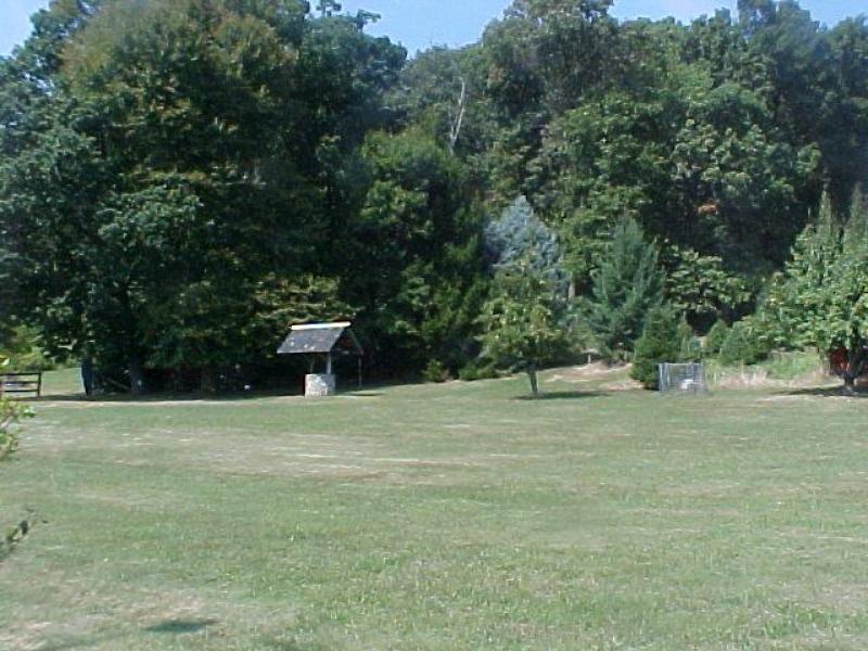 Viewing Image 5