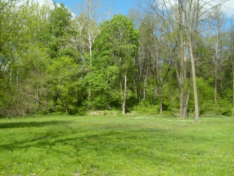 Land for Sale, ListingId:17896832, location: 0 JACKSON ST Frenchtown 08825