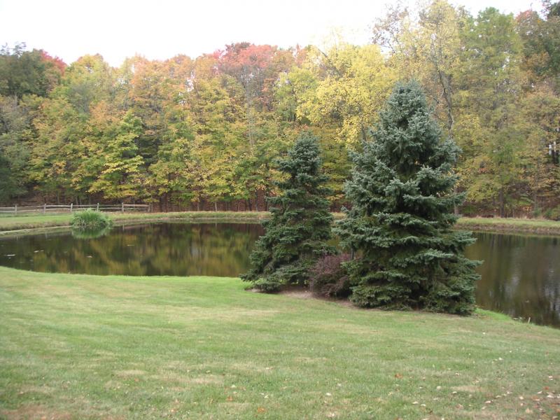 Viewing Image 13