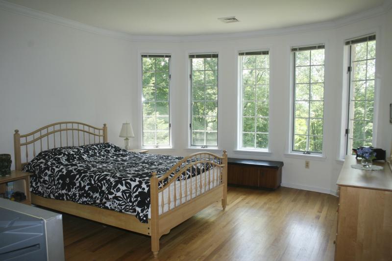 Viewing Image 11