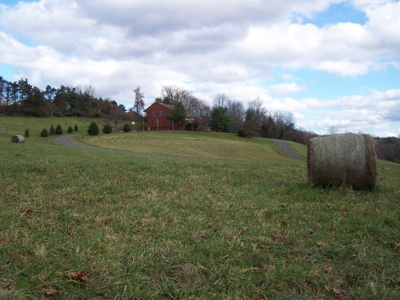 Viewing Image 20
