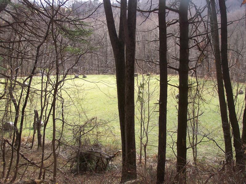 Viewing Image 22