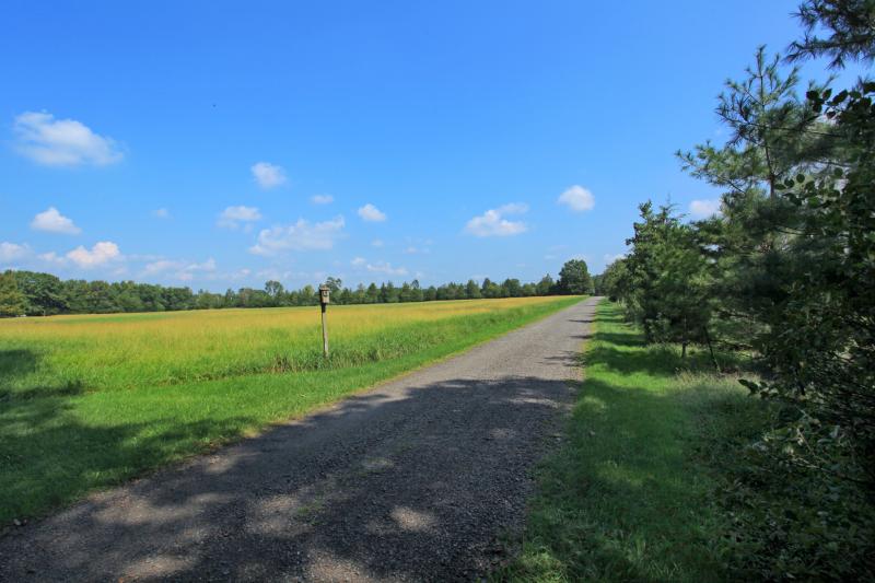 Viewing Image 18
