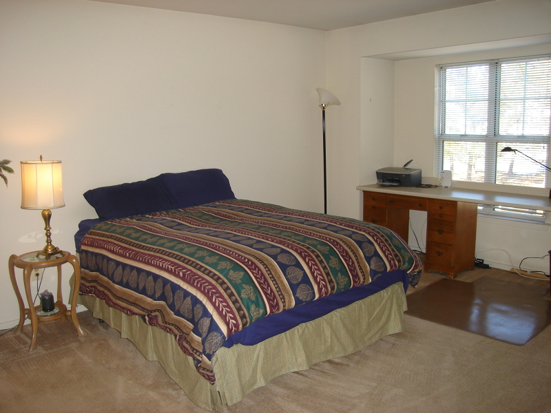 Viewing Image 11