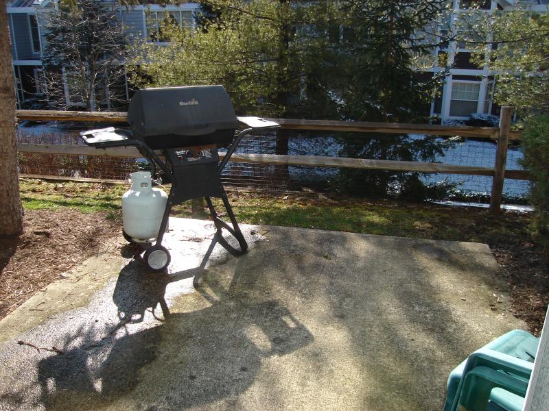 Viewing Image 19