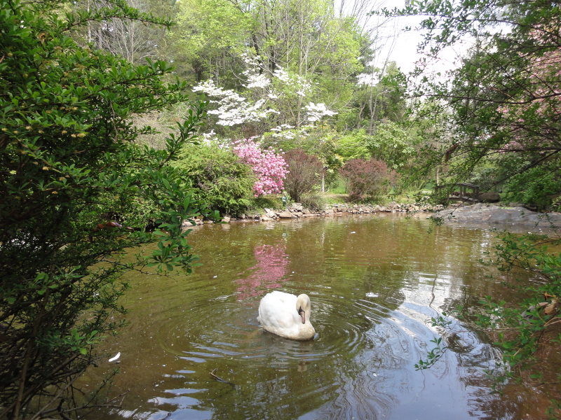 Viewing Image 19