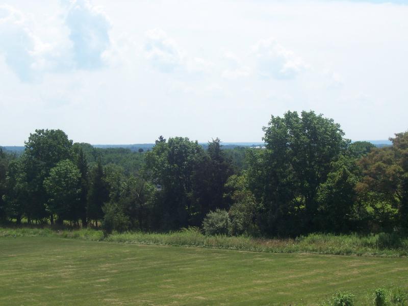 Viewing Image 11