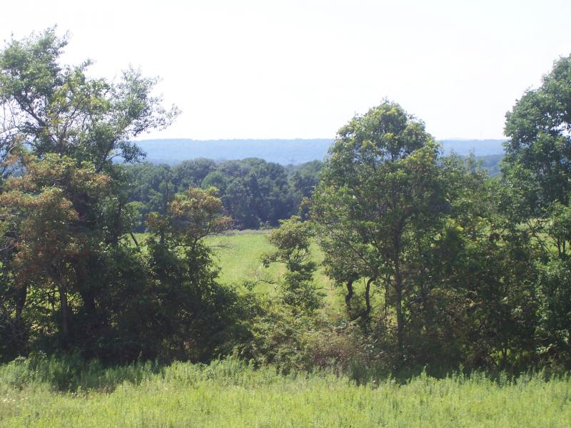Viewing Image 12
