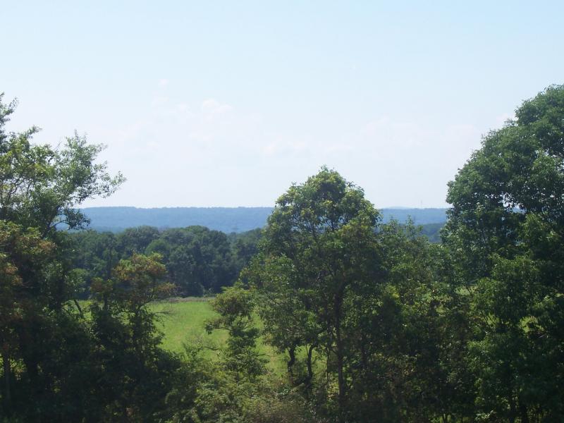 Viewing Image 13