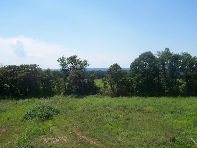 Viewing Image 14