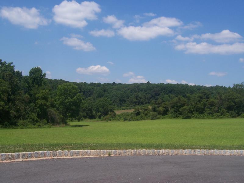 Viewing Image 6