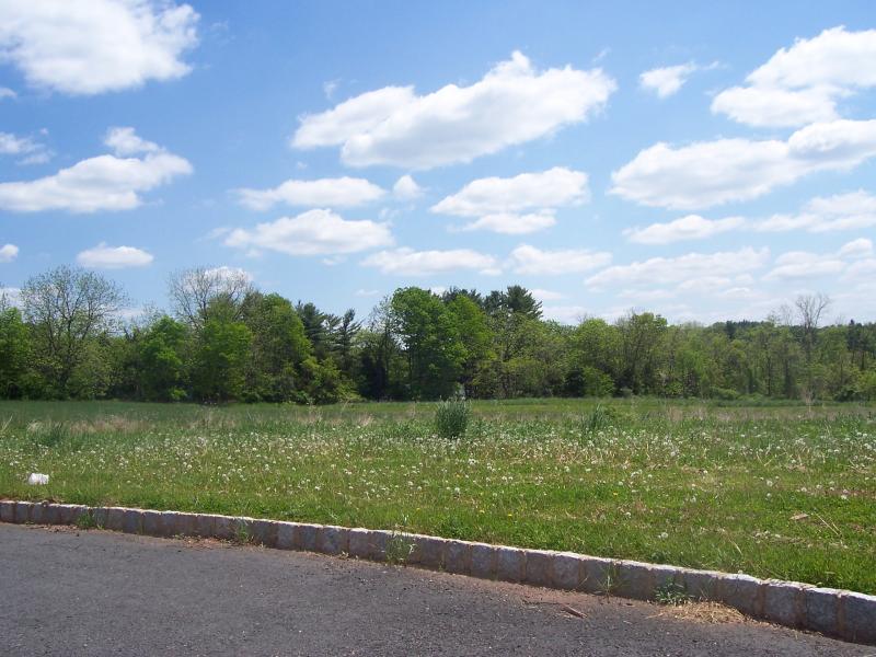 Viewing Image 7