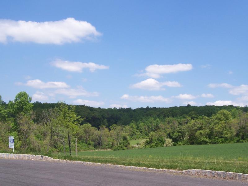 Viewing Image 8