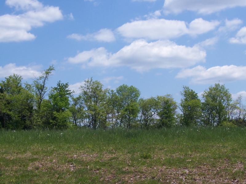 Viewing Image 9