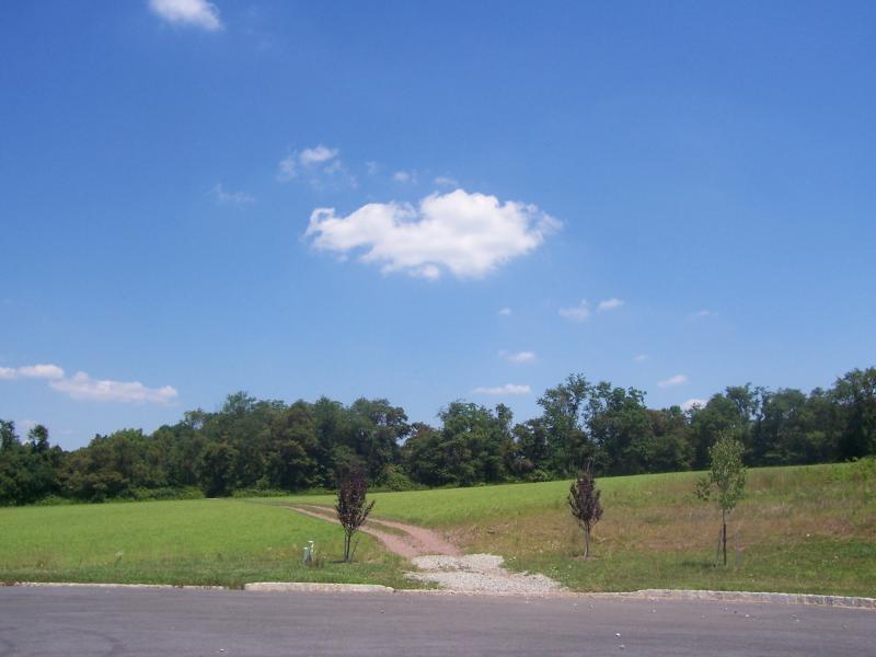 Viewing Image 10
