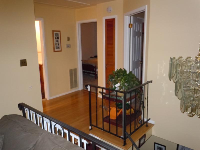 Viewing Image 12