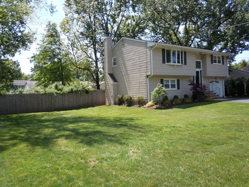 Viewing Image 3