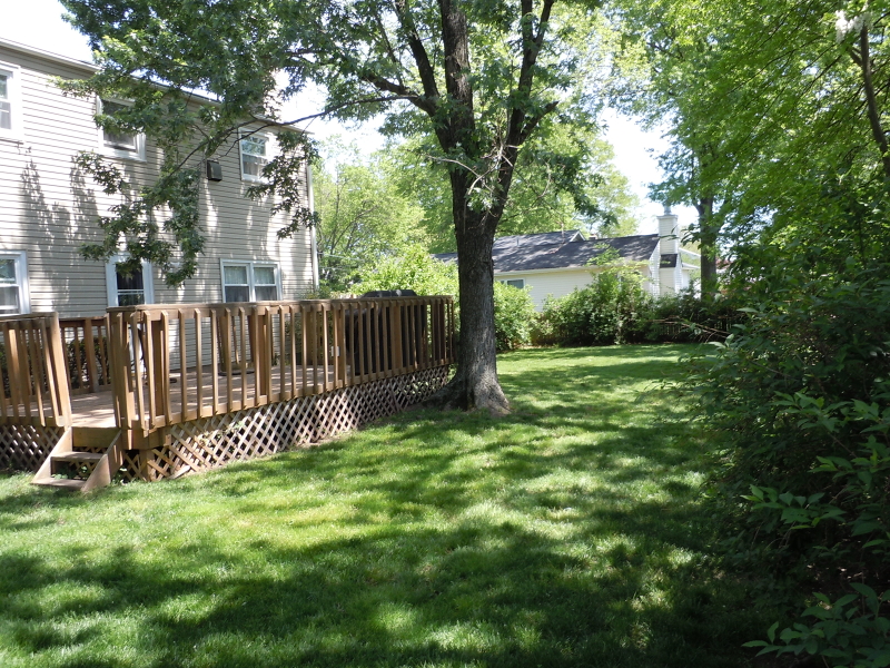 Viewing Image 5