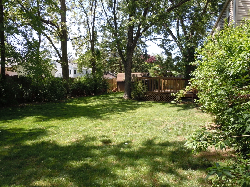 Viewing Image 6
