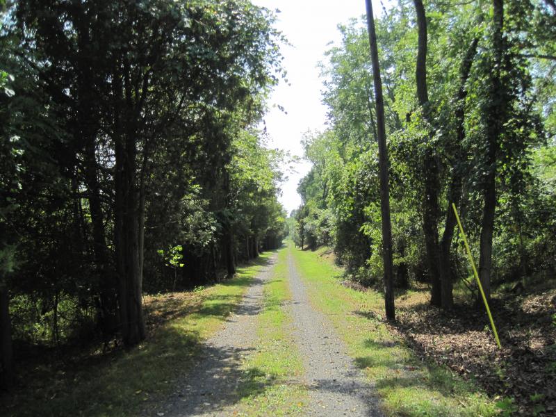 Viewing Image 6