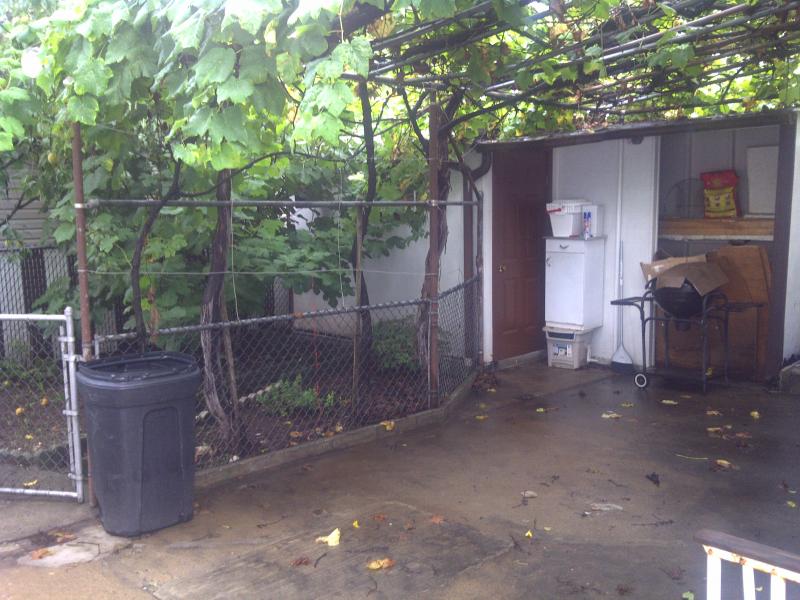 Viewing Image 5