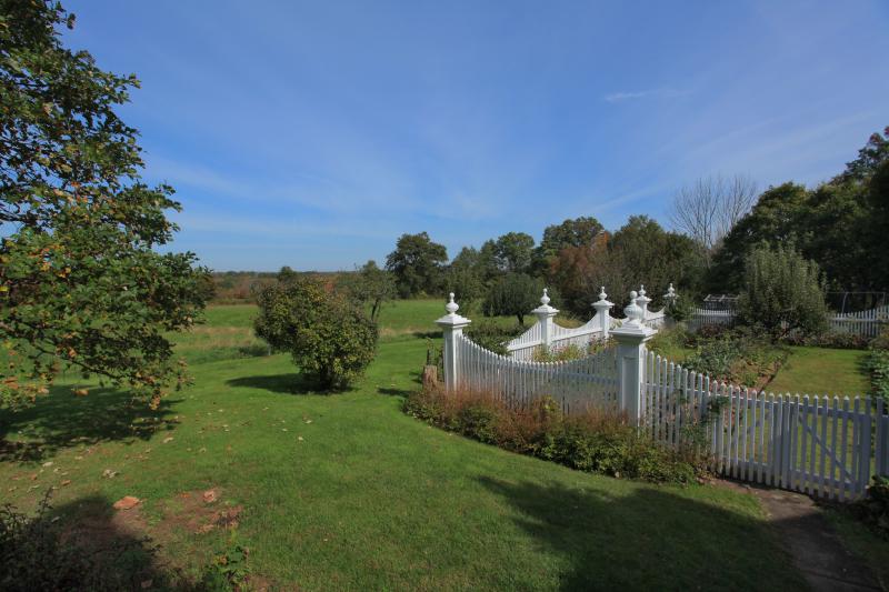 Viewing Image 7
