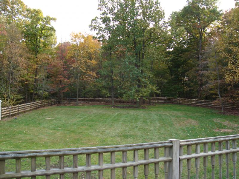 Viewing Image 24