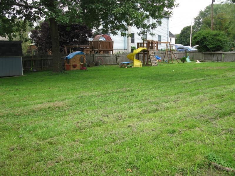 Viewing Image 7
